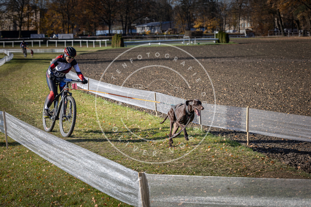 CaniXpix_DV3A7522 | Hundefotografie, Tierfotograf, Pfotenfotografie, Fotoshooting Hund, Hunde Portrait, Hundesport, Hundeportraits, Heideshooting, Hunde, Sportfotograf, Hundefotograf, Turnierhundsport, THS,  - Realisiert mit Pictrs.com