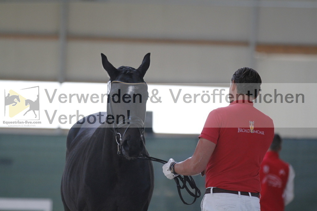 _MG_0023 | equestrian-live-com