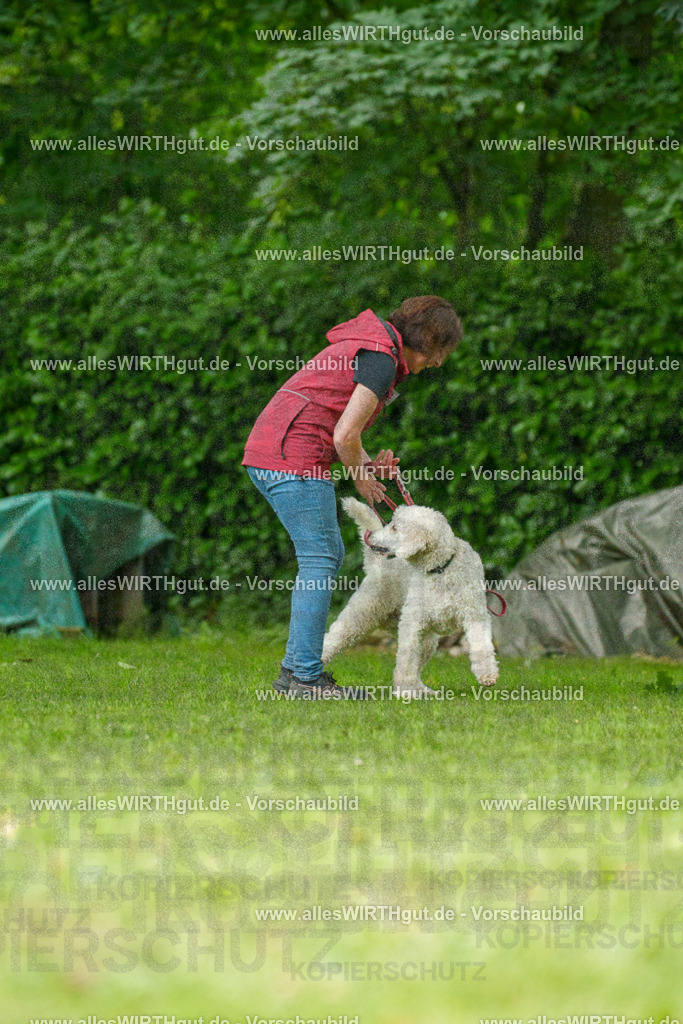 @allesWIRTHgut_Tierfotografie - www.allesWIRTHgut.de - 7R505171 | Professionelle Tierfotografie in Mönchengladbach von Daniel Wirth (allesWIRTHgut). Liebevolle & natürliche Bilder von Hunden & Katzen für unvergessliche Erinnerungen.
