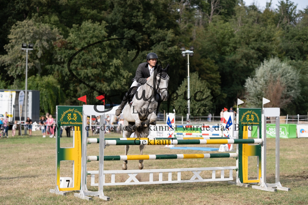 A7V09581 | Pferdefotograf