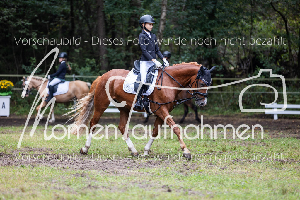 HB-Reiter-WB-076 | MomenTaufnahmen Pferdesportfotos