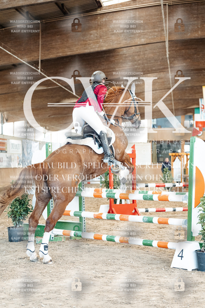 CK904975 | Turnierfotografie Pferdefotografie Trier Rheinland-Pfalz Pferdesport Reitsport Tierfotografie Sportfotografie Pferdevideo Pferdevideografie Equestrianvideography equestrianphotography  - Realized with Pictrs.com