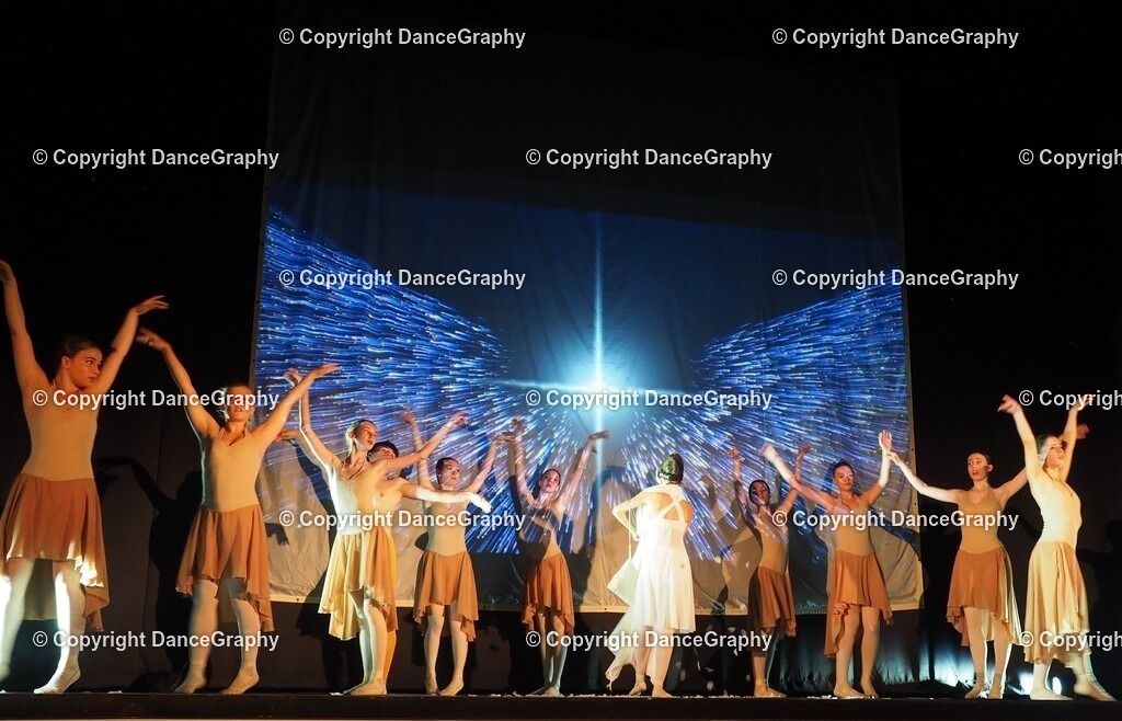 P1010906 | OLYMPUS DIGITAL CAMERA - Realisiert mit Pictrs.com