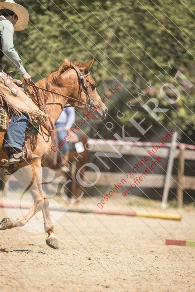 IMG_9948 | Sport-, Event- und Tierfotos in Profiqualität. Einfach auswählen, bestellen und herunterladen. Dein Moment – perfekt festgehalten.