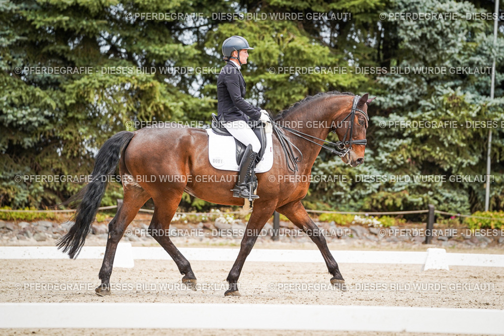 DSC04934 | Pferdegrafie