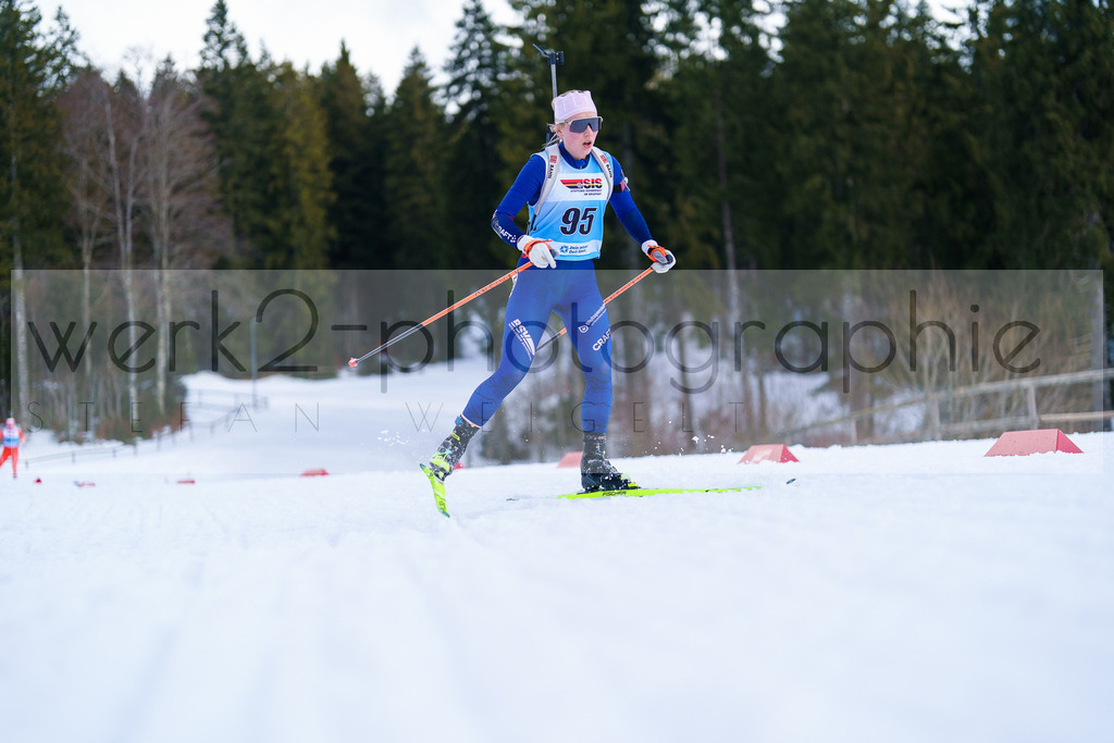 FESA Alpencup / DP Notschrei | Deutschland Pokal Finale im Schwarzwald NORDIC-CENTER Notschrei am 7. - 8. Februar 2026