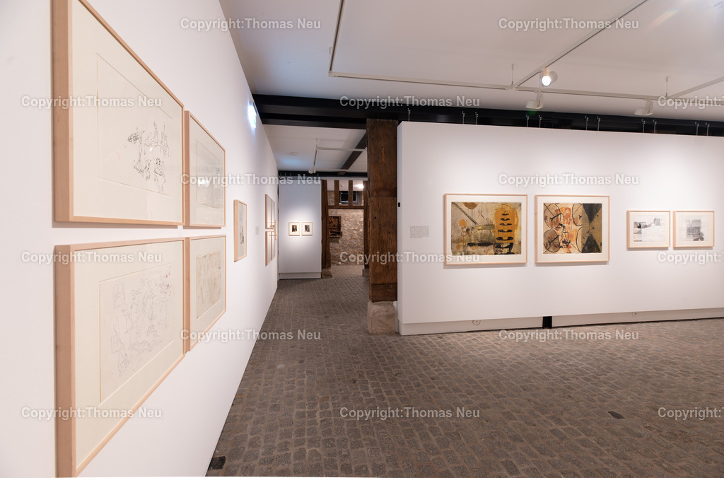 13_Neo_Rauch_Museum_Bensheim | 6.7.2024, bbe, Museum Bensheim, Ausstellung Neo Rauch "im Papiergrund", ,, Bild: Thomas Neu