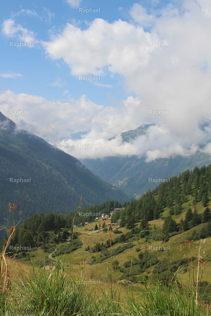 IMG_2313 | Raphael - Realisiert mit Pictrs.com