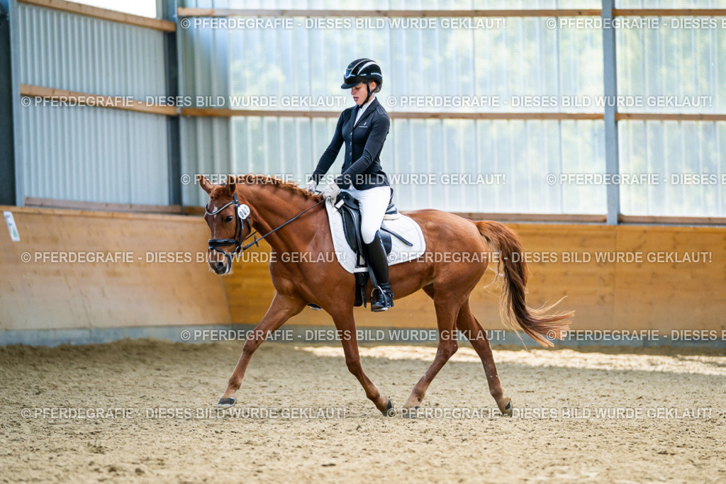 DSC05186 | Pferdegrafie