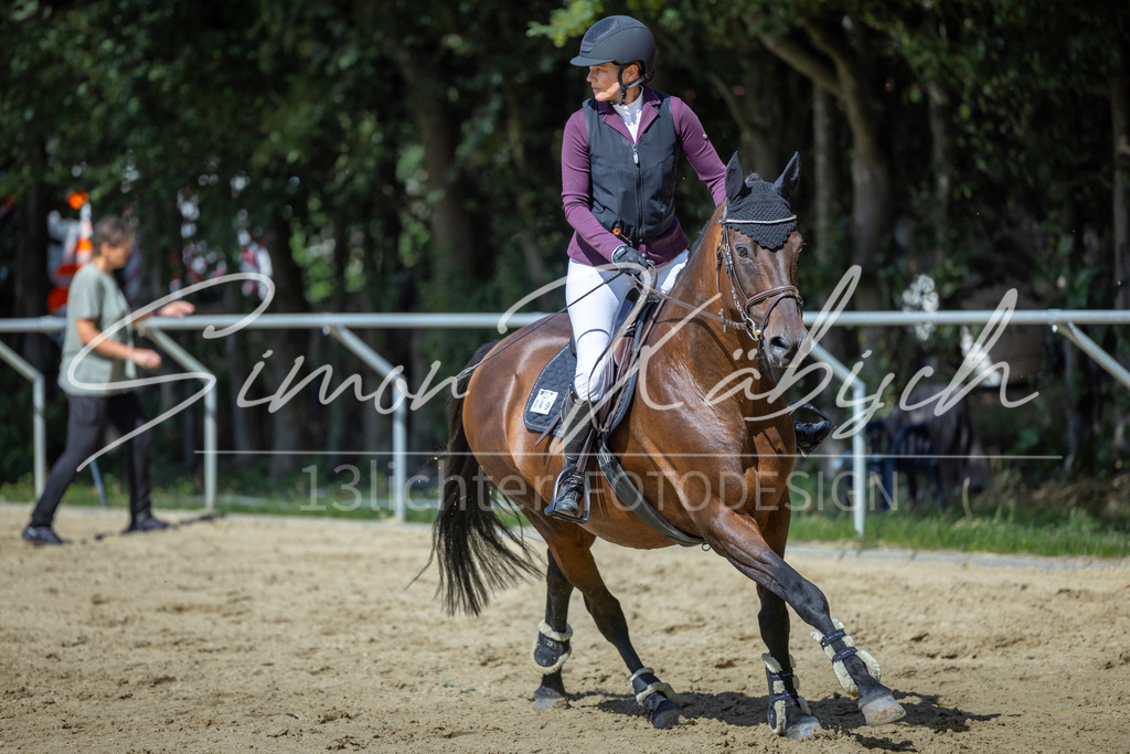 20260905-_3LI8975 | Tierfotografie Pferde, Hunde, Katzen, Haustiere.
Turnierfotografie Reitturniere, Reiten, Springreiten, Dressur in Hanau, dem Main-Kinzig-Kreis und dem Rhein-Main- Gebiet um Frankfurt