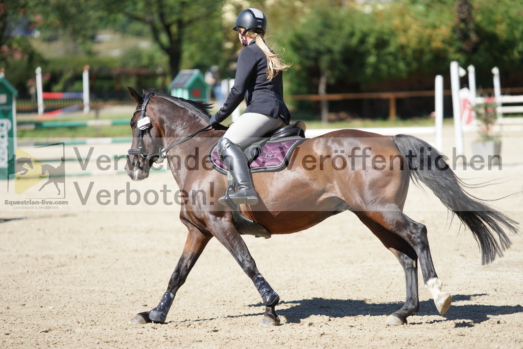 DSC07708 | equestrian-live-com