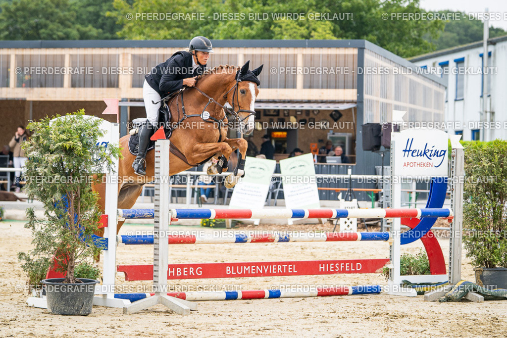 DSC00167 | Pferdegrafie