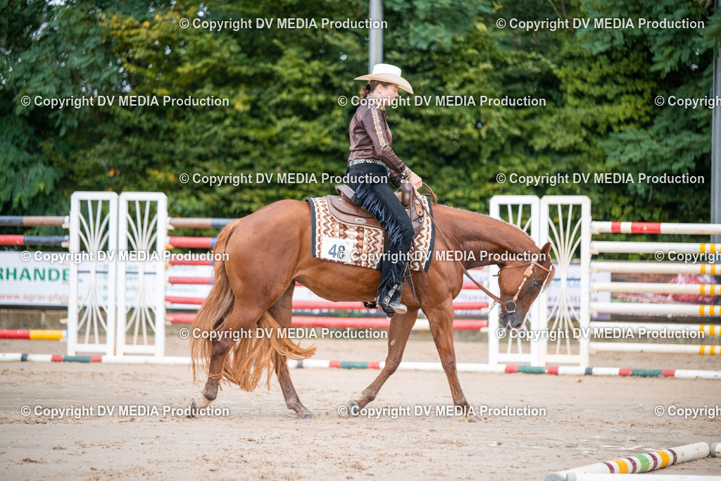 ZS2_4007 | dv-media-shop - Realisiert mit Pictrs.com