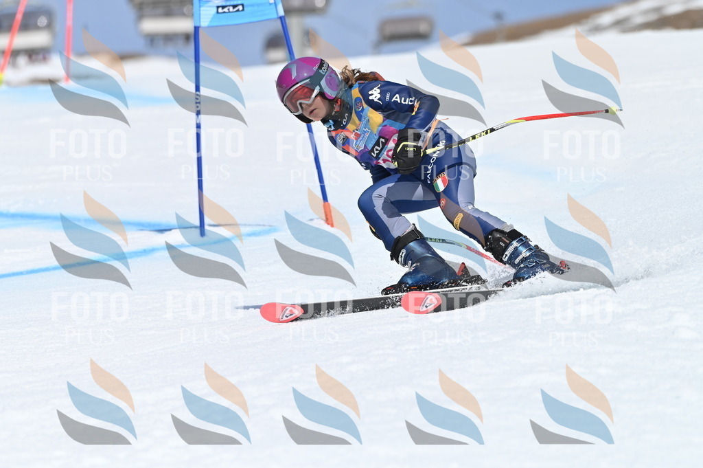 BGV_0344 | holidayphoto