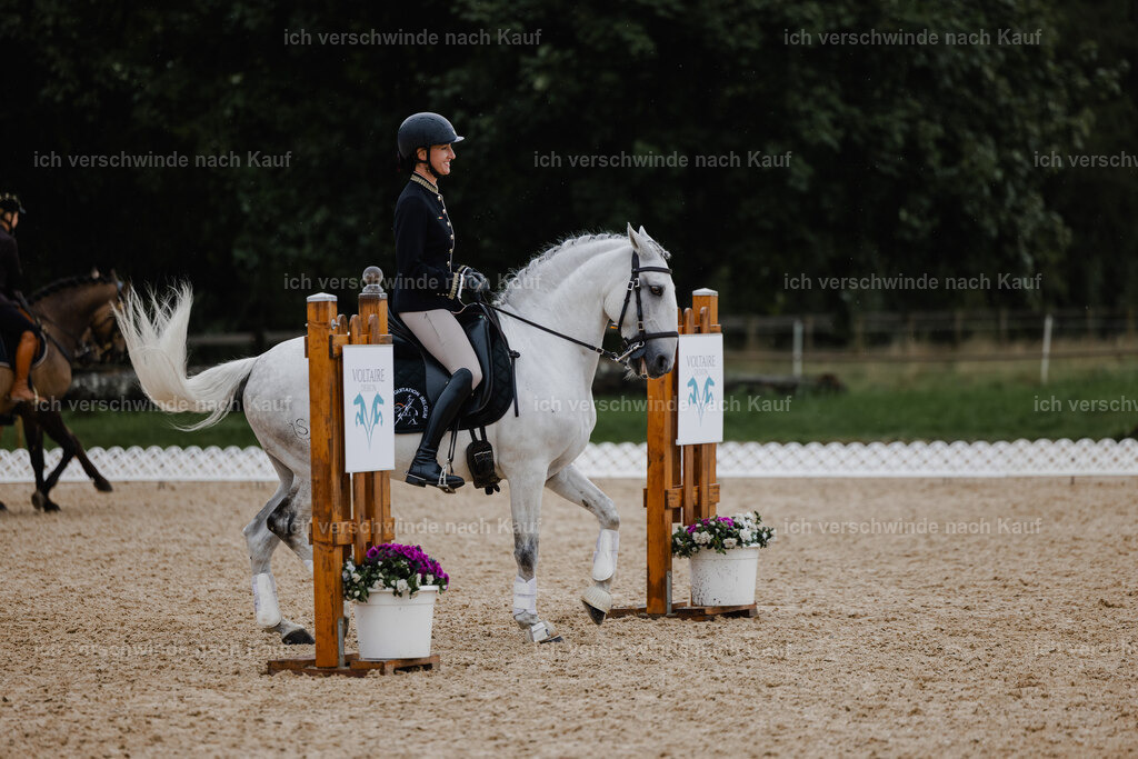 Virginie12FHC2025-25355 | working equitationturnier fotograf videograf stoibphotography marixx film working equitation deutschland reitsport turnierfotografie eventfotografie equestrian events