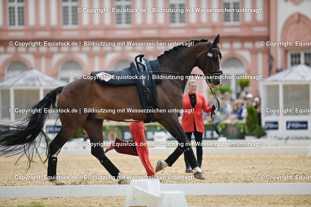 20250608_CVI-Masterclass_0160 | Foto: Thomas Hartig