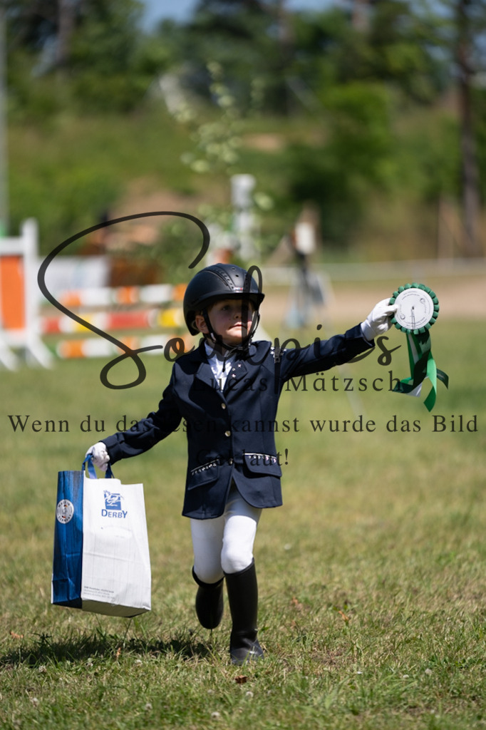 A7V06291 | Pferdefotograf