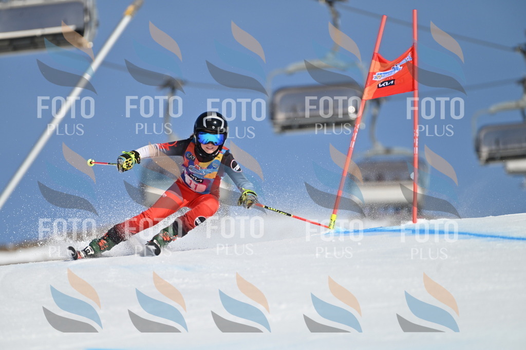 BGV_7765 | holidayphoto