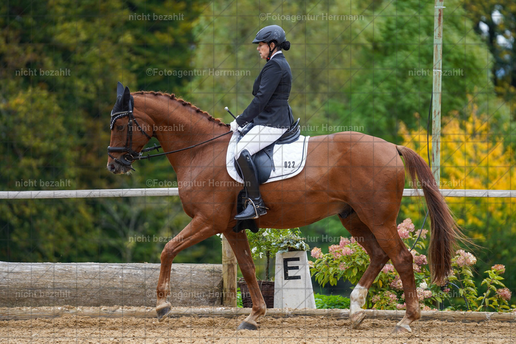 20221008-FAH01574 | Diessen am Ammersee, 2022, Dressur- und Springturnier, Reitsportbilder, Turnierfotografen Bayern, Pferdefotografen, Fotoagentur Herrmann, Turnierbilder