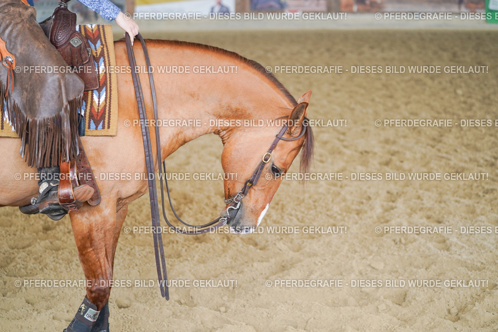 DSC01581 | Pferdegrafie