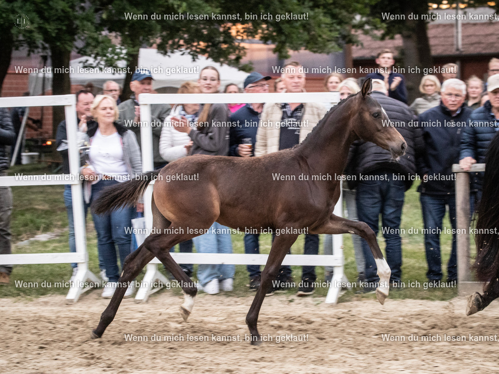 A10I7462 | photographylinaismer - Realisiert mit Pictrs.com