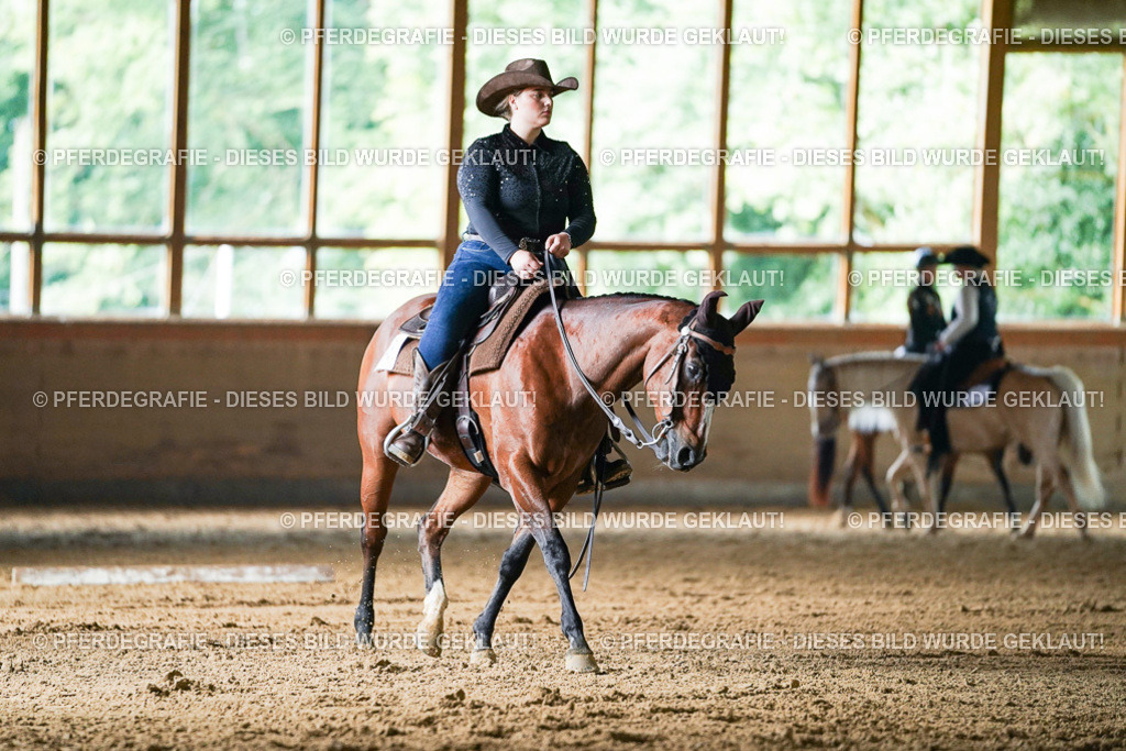 DSC05421 | Pferdegrafie