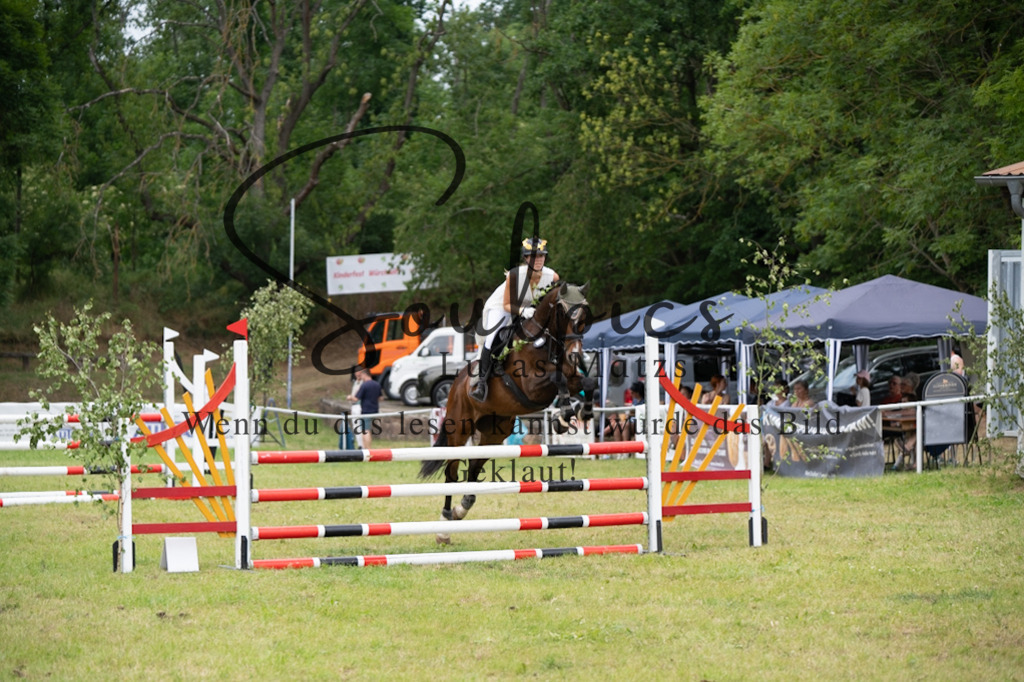 A7V07050 | Pferdefotograf