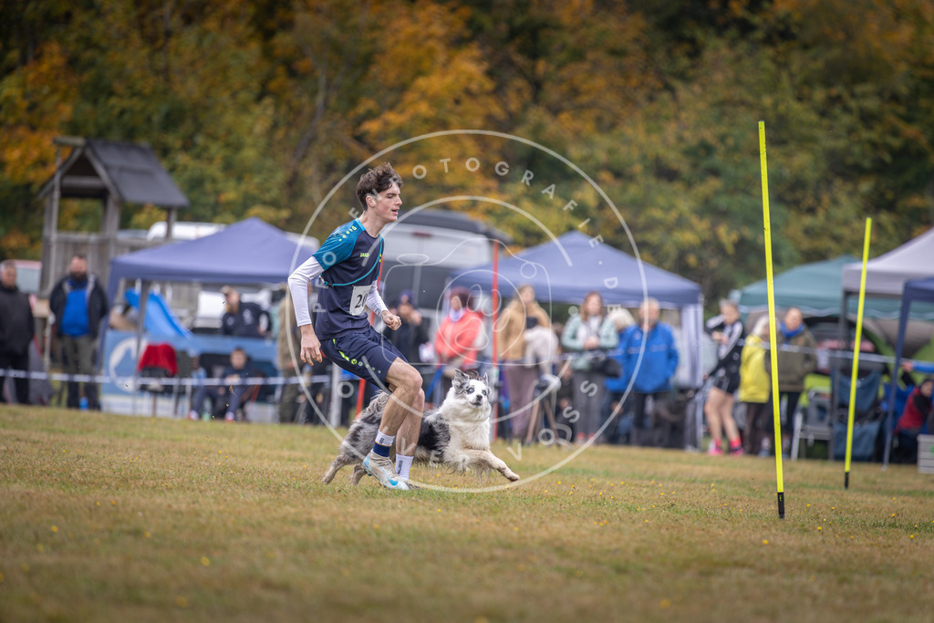 Pfotenfotografie_DV3A1216 | Hundefotografie, Tierfotograf, Pfotenfotografie, Fotoshooting Hund, Hunde Portrait, Hundesport, Hundeportraits, Heideshooting, Hunde, Sportfotograf, Hundefotograf, Turnierhundsport, THS,  - Realisiert mit Pictrs.com