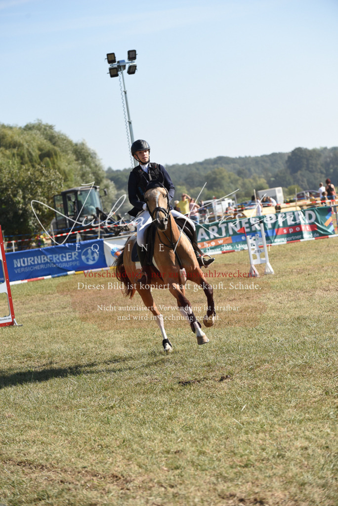 DSC_5984 | Pferde- und Turnierfotografie in Westsachsen. Pferdeportraits, Auftragszeichnungen und intuitive Kunst.