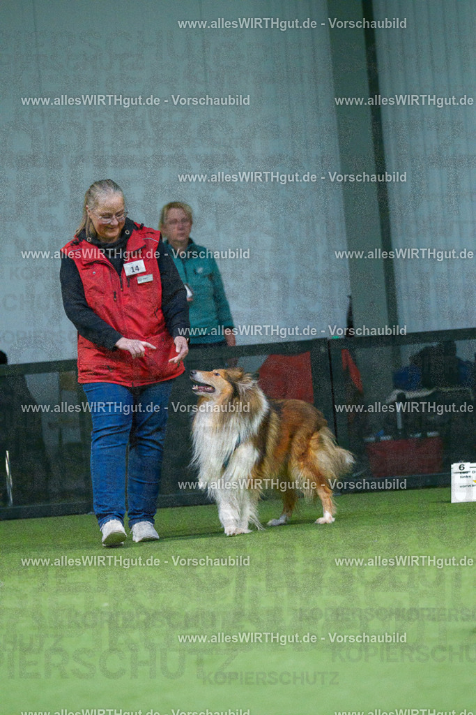 7R500434 | Professionelle Tierfotografie in Mönchengladbach von Daniel Wirth (allesWIRTHgut). Liebevolle & natürliche Bilder von Hunden & Katzen für unvergessliche Erinnerungen.