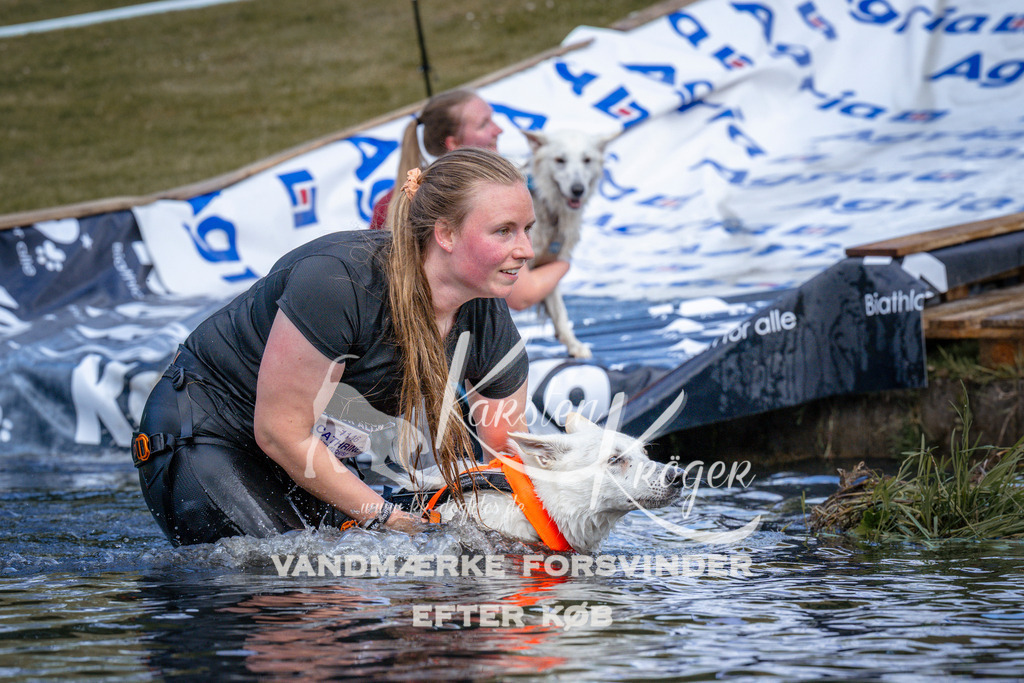 _ZZ919700919 | kk-dogfotos