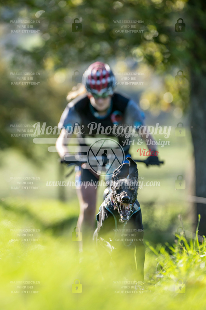 MompixPhotography_20TSB_E3_DS1-13 | PayLife