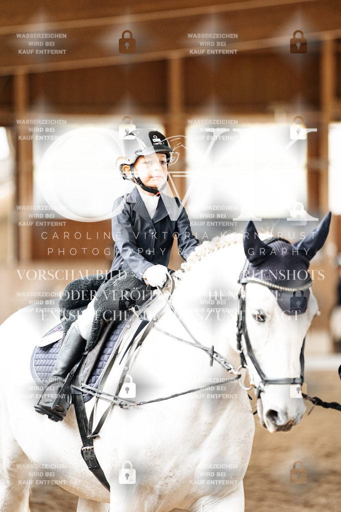CK901912 | Turnierfotografie Pferdefotografie Trier Rheinland-Pfalz Pferdesport Reitsport Tierfotografie Sportfotografie Pferdevideo Pferdevideografie Equestrianvideography equestrianphotography  - Realized with Pictrs.com