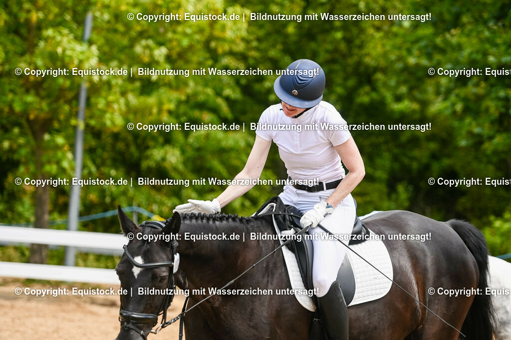 20230715_05_Dressurprüfung Kl.A++_0291 | equistock