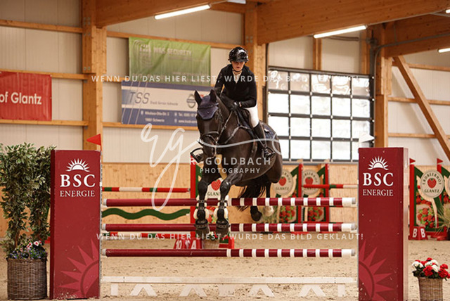 1J2A5122Mira Leinert_ Cilenos L_ Kn139_ Glantz_ Hohen Wieschendorf | Foto- und Videografie für alles rund ums Pferd. Hochwertige Bilder und Videos vom Spring- und Dressurreiten, Voltigieren & mehr. Jetzt aktuelle Veranstaltungen und Preise im Shop ansehen. - Realisiert mit Pictrs.com