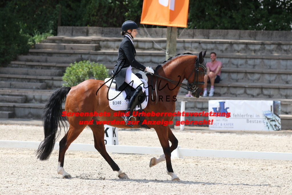 IMG_7543 | lmwpictures - Realisiert mit Pictrs.com