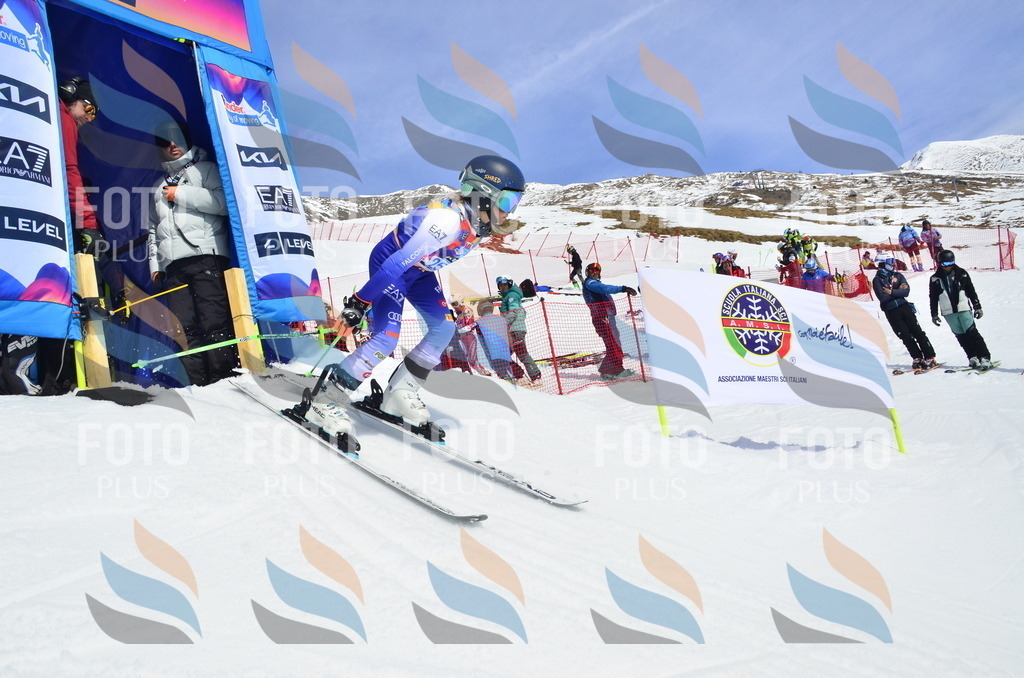 _ELE1900 | holidayphoto