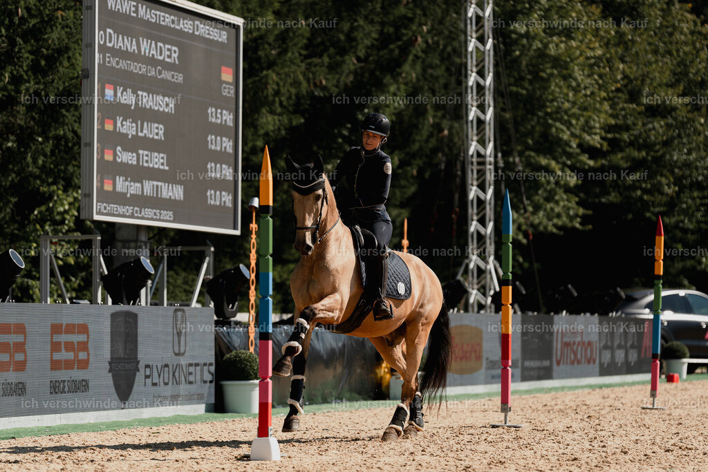 Diana11_FHC2025-09015 | working equitationturnier fotograf videograf stoibphotography marixx film working equitation deutschland reitsport turnierfotografie eventfotografie equestrian events