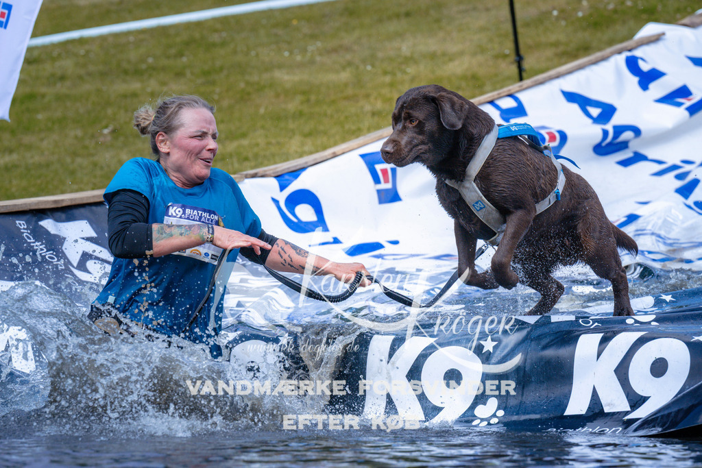 _ZZ984351041 | kk-dogfotos