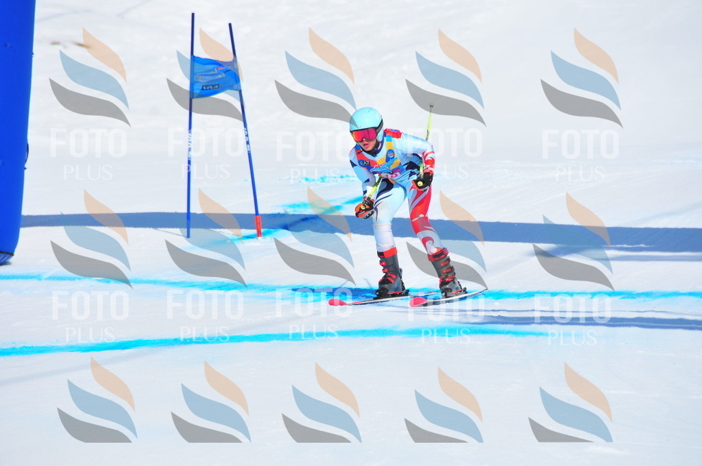 DSC_4754 | holidayphoto