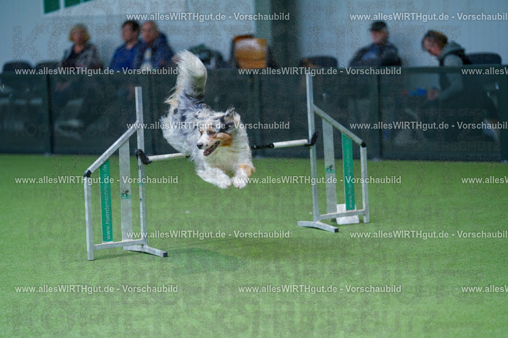 @allesWIRTHgut_Tierfotografie - www.allesWIRTHgut.de - 2604251047-7R500135 | Professionelle Tierfotografie in Mönchengladbach von Daniel Wirth (allesWIRTHgut). Liebevolle & natürliche Bilder von Hunden & Katzen für unvergessliche Erinnerungen.