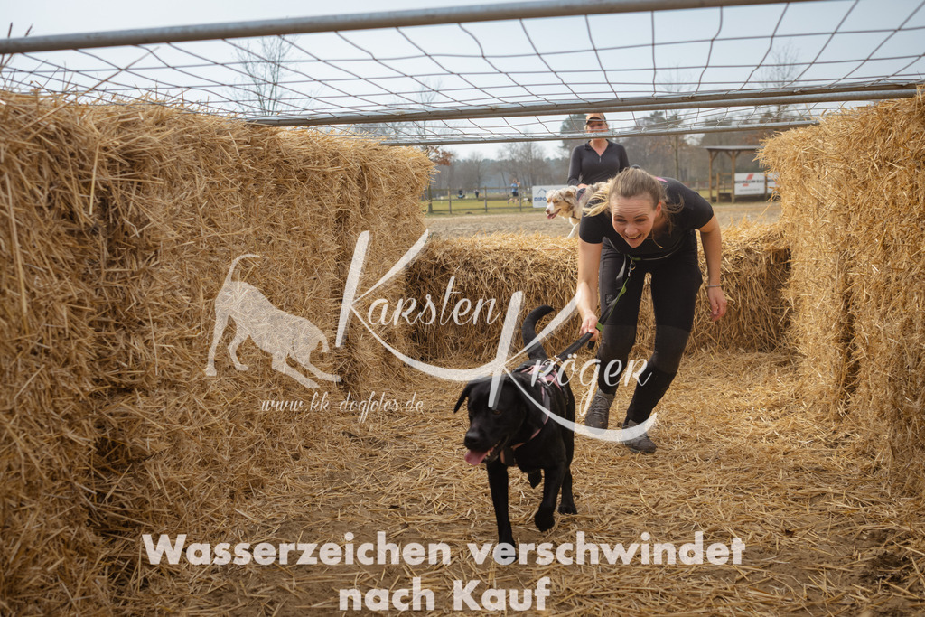 1138_ZZ94724 | kk-dogfotos