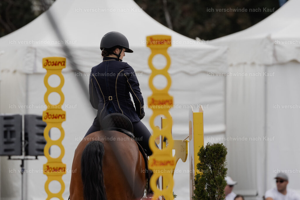 WE_ST_Stoib_335_PI2025_1023 | Pferd International München 2025