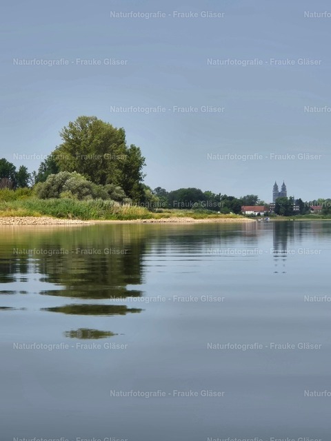 F. Gläser_123331 | Naturfotografie Frauke Gläser - Realisiert mit Pictrs.com