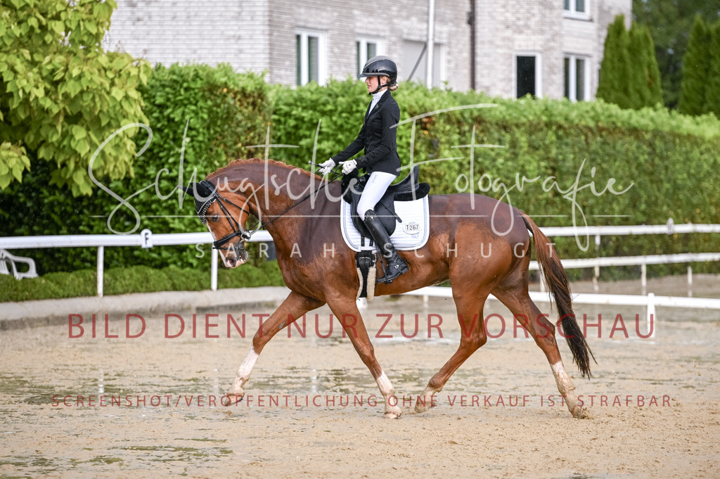 Schugtsche-Aluta25-55.Dressurreiterprf.L1Tr-332 | Schugtsche Fotografie - Realisiert mit Pictrs.com