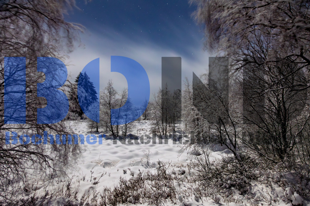 Hohes Venn bei Nacht im Schnee {date} -  | {headline}



(Foto: Sebastian Sendlak / BOND)

 - Realisiert mit Pictrs.com