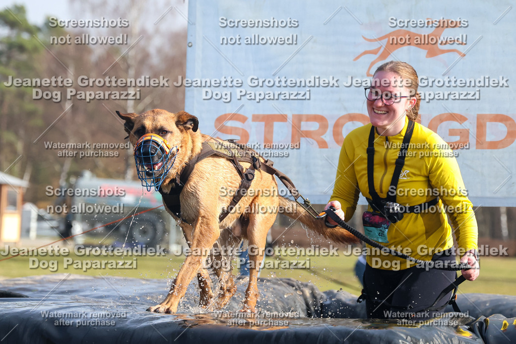 Dog Paparazzi - Strongdog North Mrz26-1537 | Dog Paparazzi Jeanette Grottendiek Fotografie & Videografie - Realisiert mit Pictrs.com