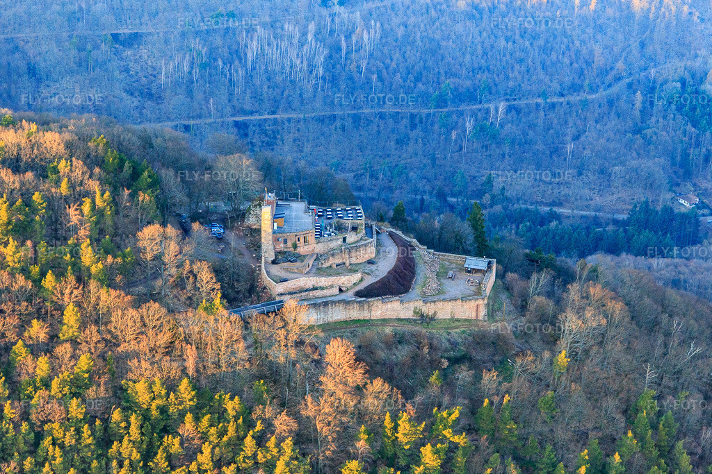 Luftbild: Burgruine Rietburg aus Süden im Winter in Rhodt unter Rietburg im Bundesland Rheinland-Pfalz in Deutschland. Foto: IMG_105149.jpg vom 24.03.2018 durch Werner Riehm/FLY-FOTO.deRhodt unter Rietburg - historisch.schön