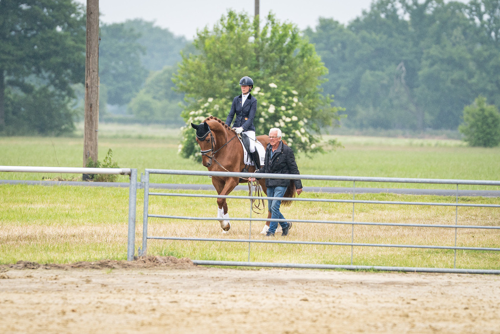 DSC00808 | Pferdegrafie