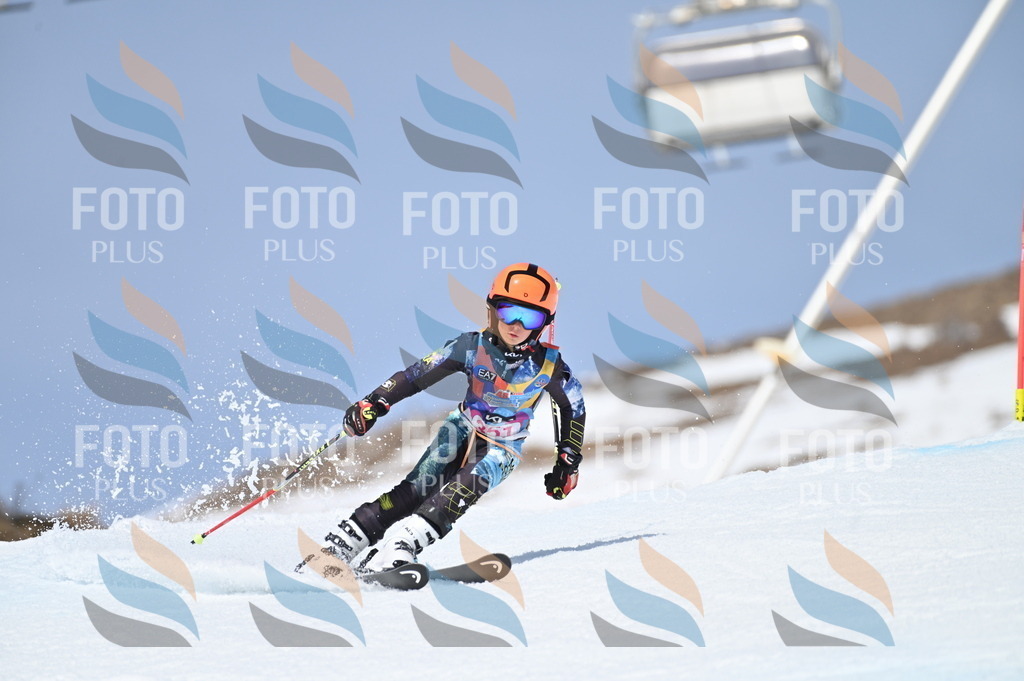 BGV_3650 | holidayphoto